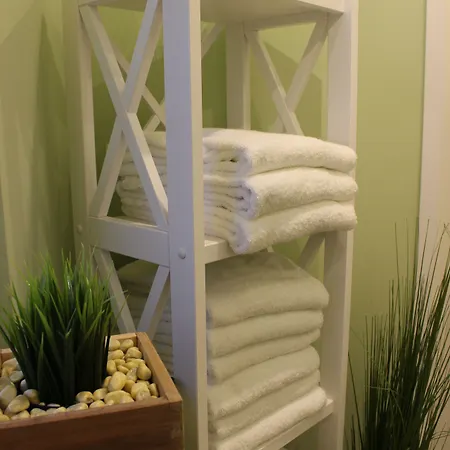 Plaza Premium Columbus 4* Brême