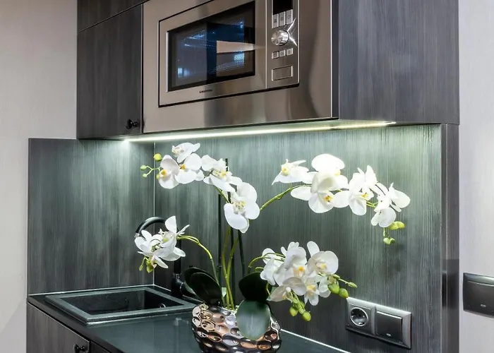 Plaza Premium Columbus 4* Brême