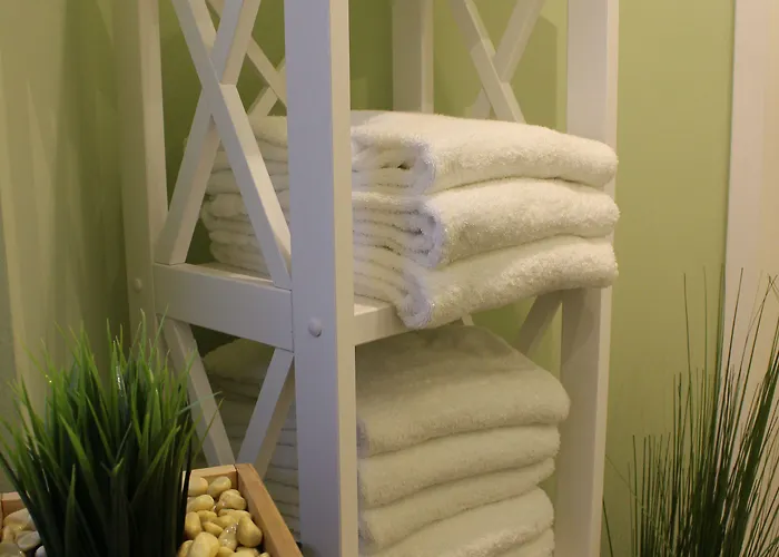 Plaza Premium Columbus 4* Brême